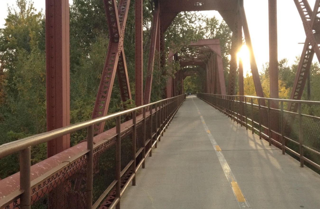 The Boise River Greenbelt, looking through cottonwoods toward the city